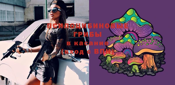 дмт Балахна