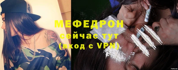 дживик Няндома