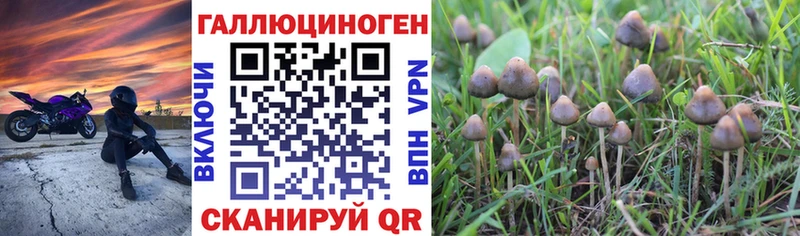 hydra ONION магазин продажи наркотиков Новая Ляля Галлюциногенные грибы GOLDEN TEACHER